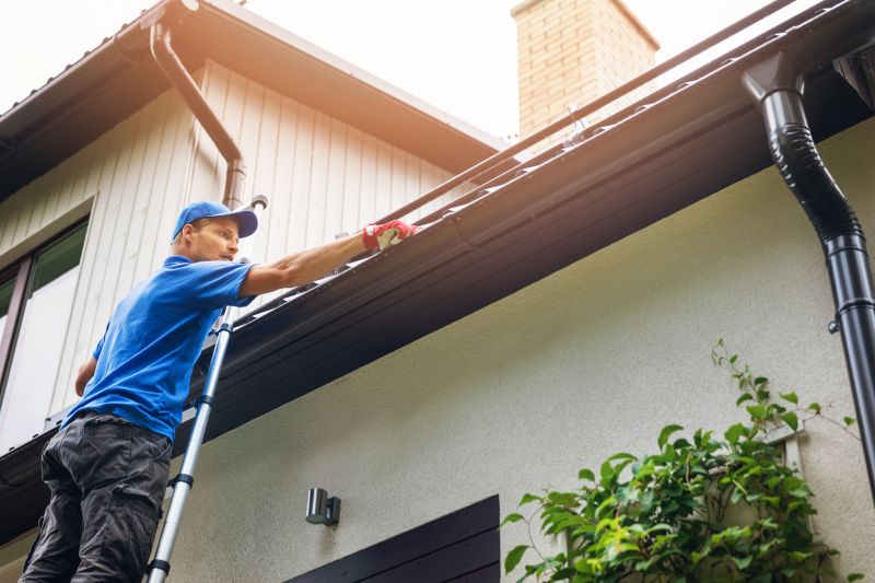 Building Repair Service in Denver County, CO